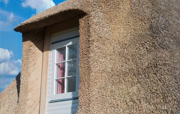 Ponciau thatch roof disadvantages
