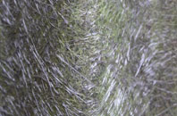 Ponciau fibreglass roof work